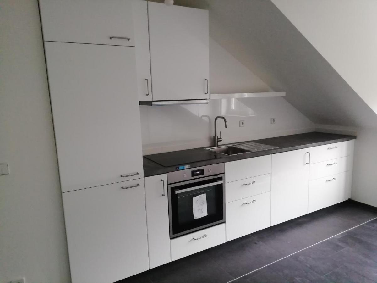 Ferienwohnung Am Stadtpark Хемниц Экстерьер фото